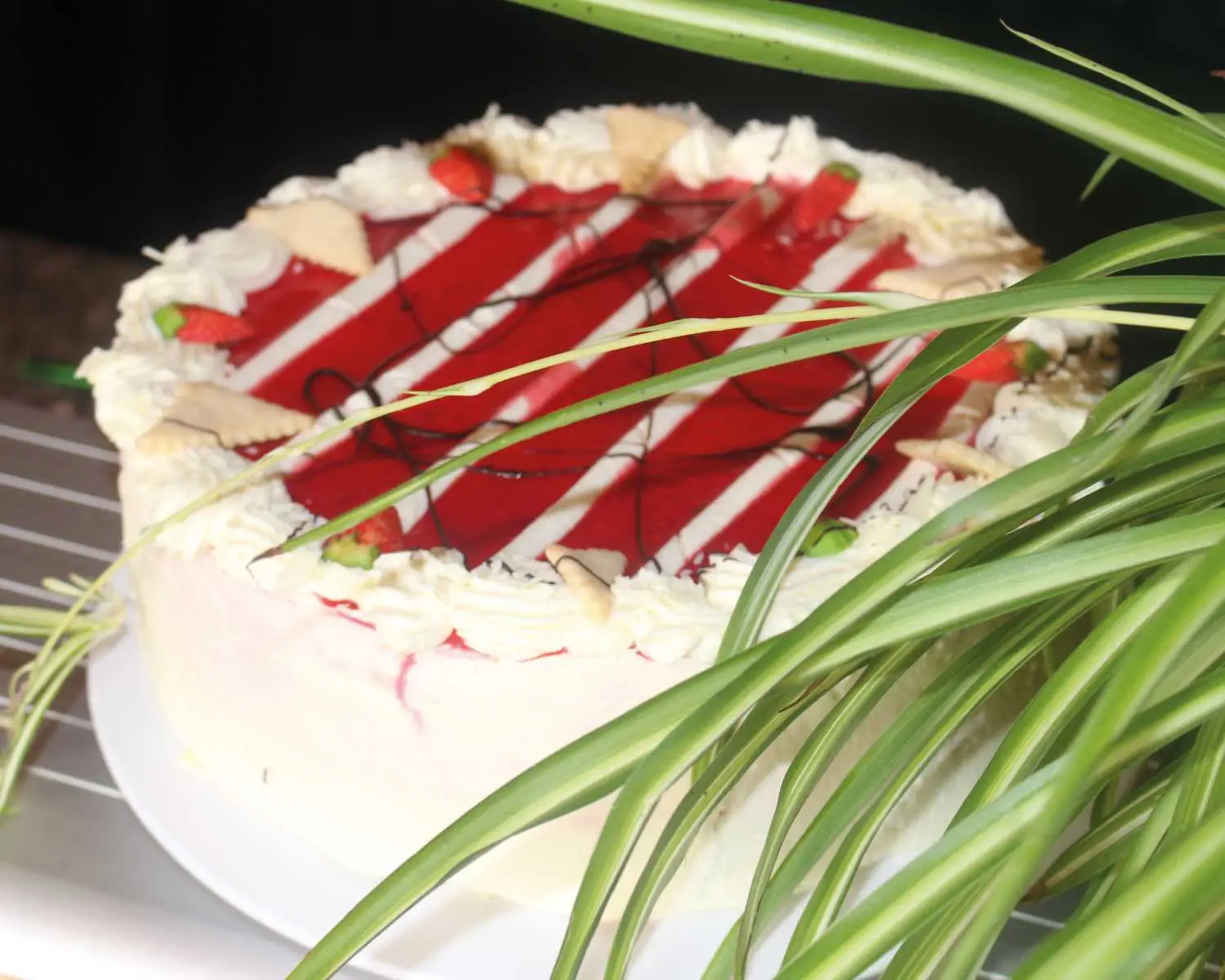 Torte mit Pflanze
