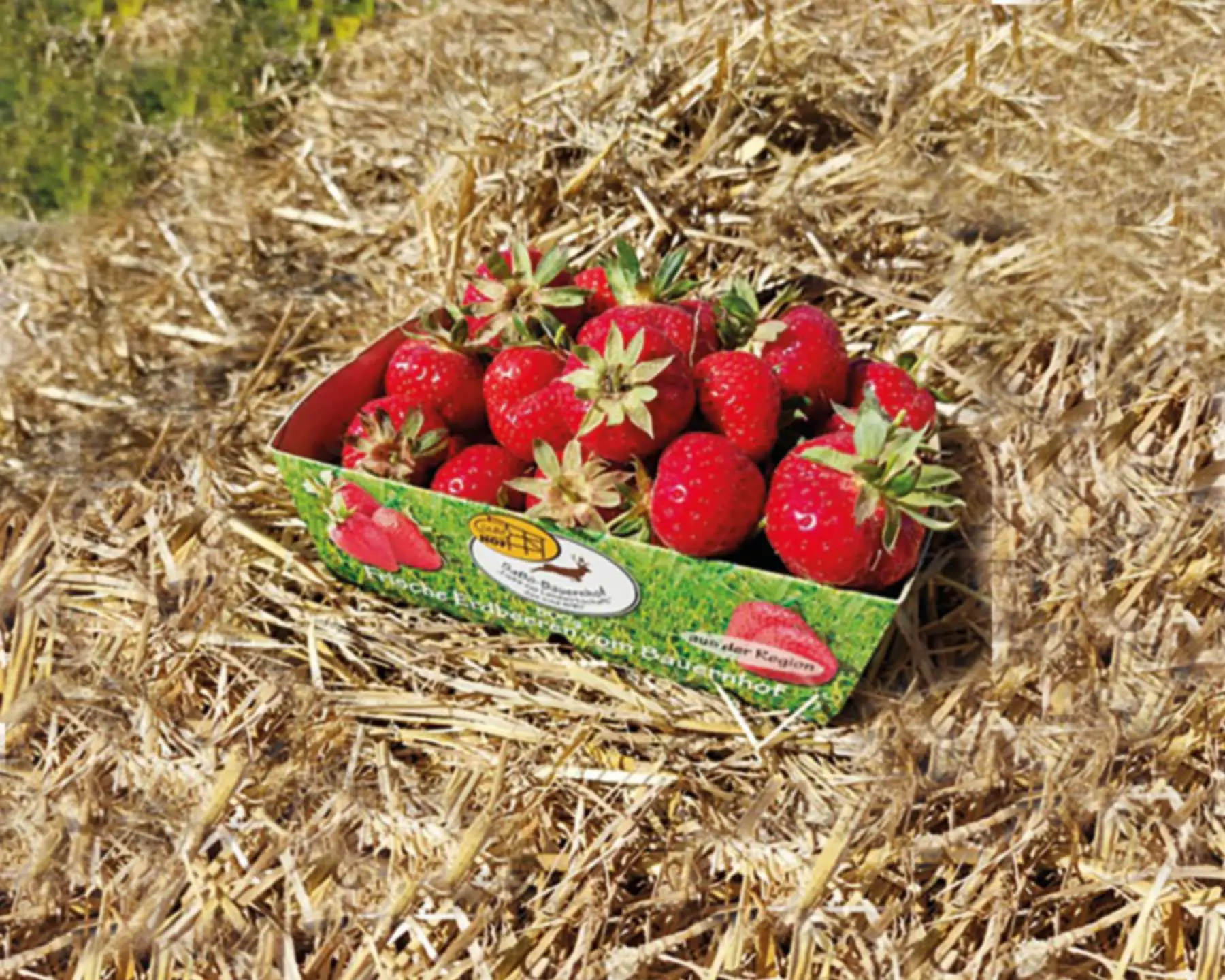 Erdbeeren im Stroh