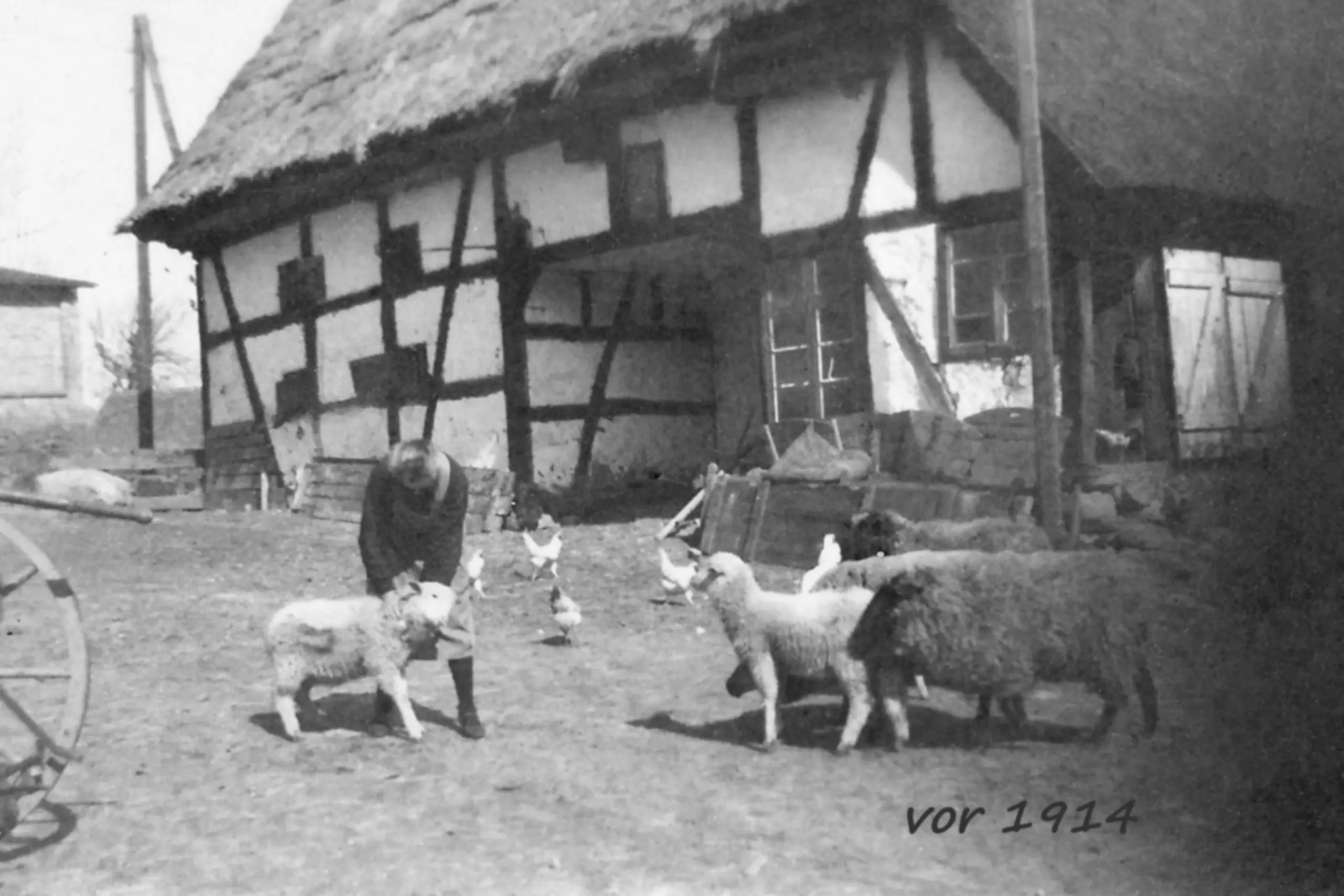 Ausaufnahme Hof von 1914